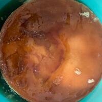 Egg Pudding